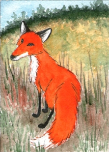 438_little_fox