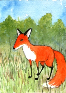 441_fox