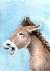442_donkey
