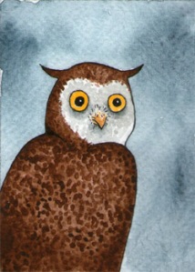 451_owl