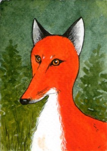 452_fox